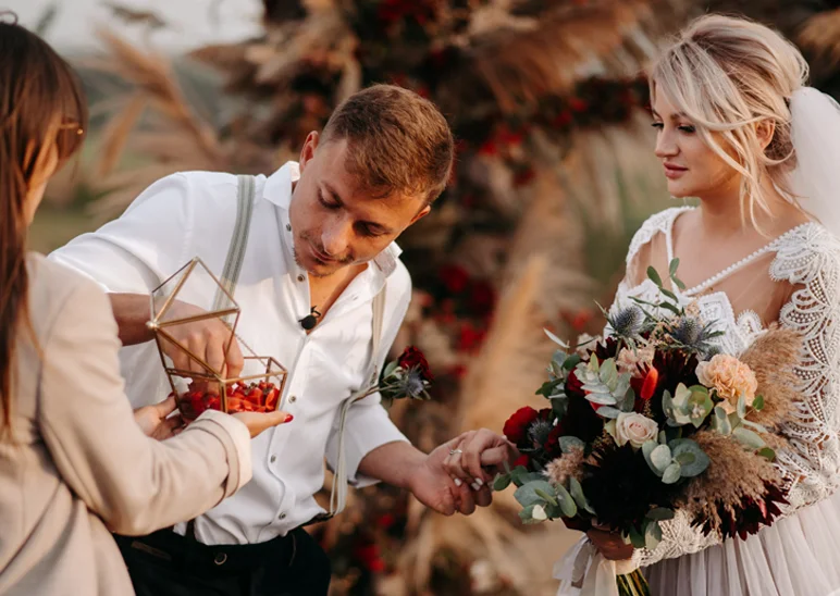 Кадр 6 — свадьба под ключ